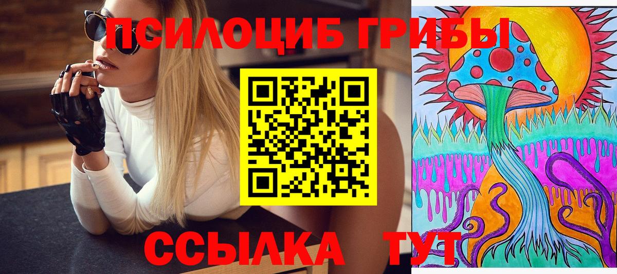 Галлюциногенные грибы прущие грибы Астрахань