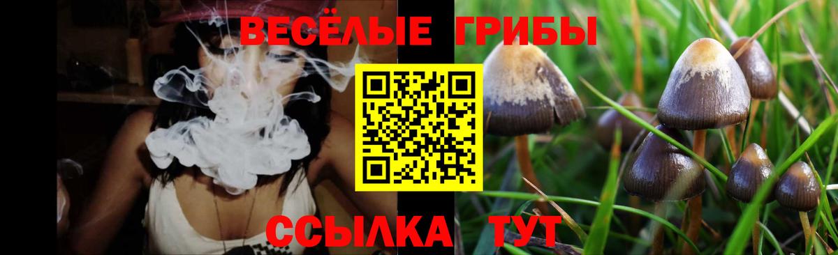 Астрахань  наркотики  Псилоцибиновые грибы мицелий  Вход с VPN  Галлюциногенные грибы прущие грибы 